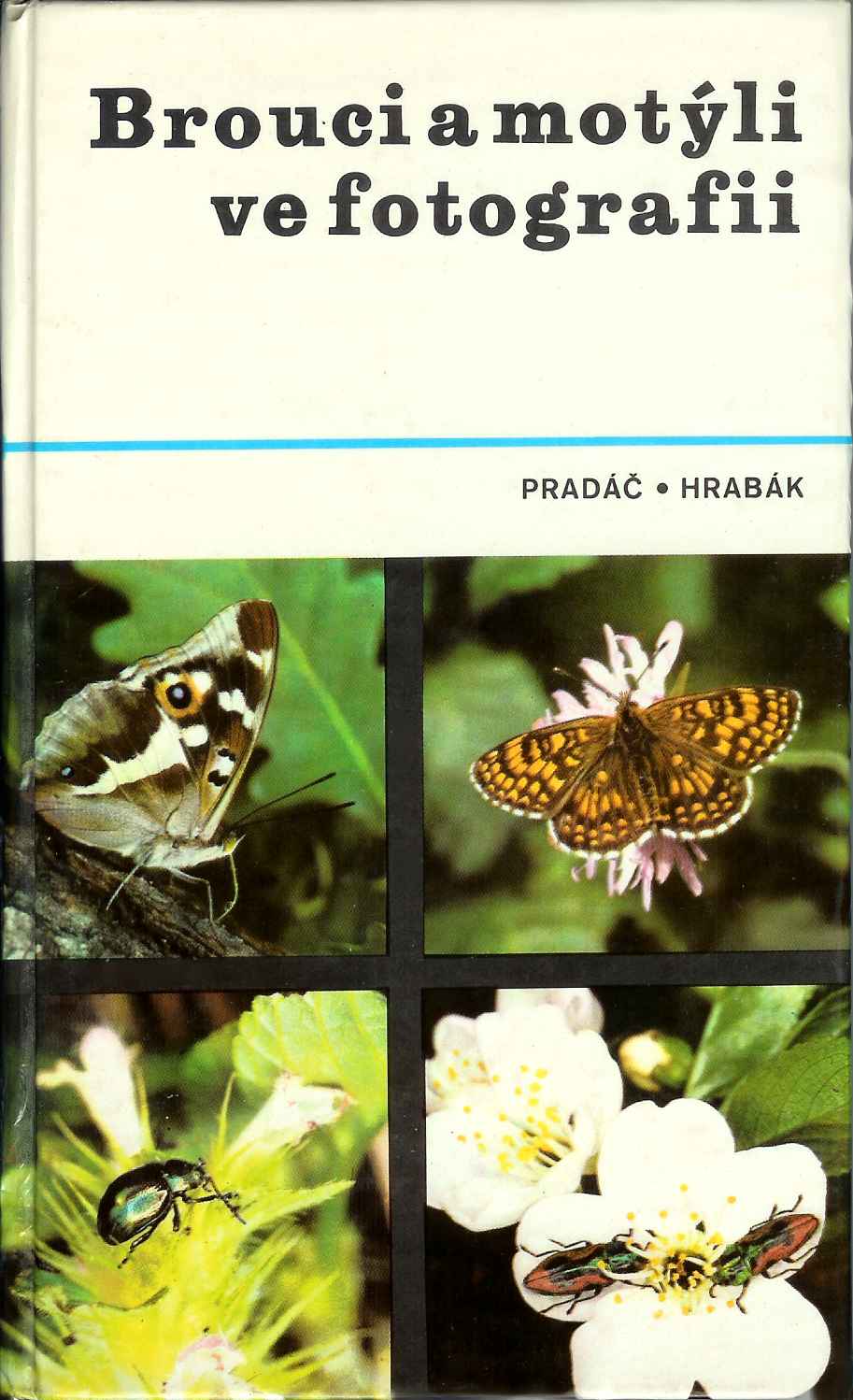 Jiří Pradáč a Rudolf Hrabák - Brouci a motýli ve fotografii