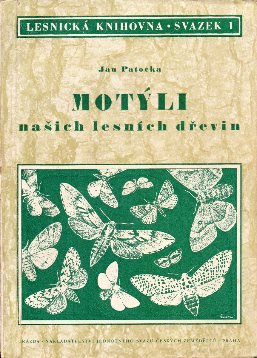 Jan Patočka - Motýli našich lesních dřevin
