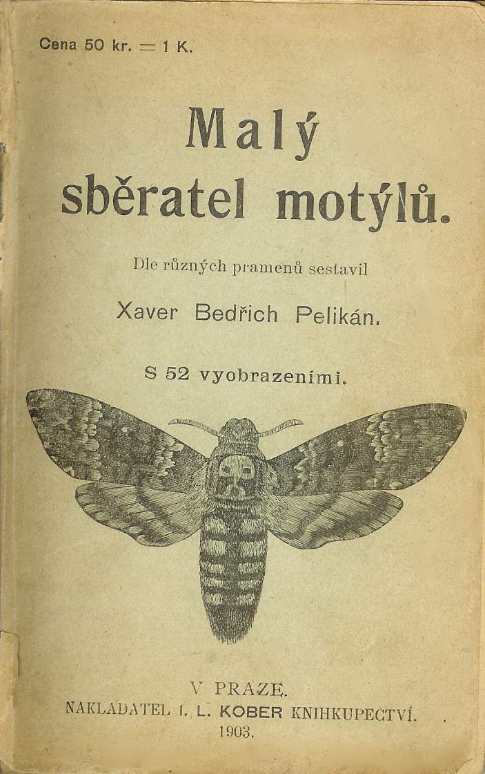 Xaver Bedřich Pelikán - Malý sběratel motýlů